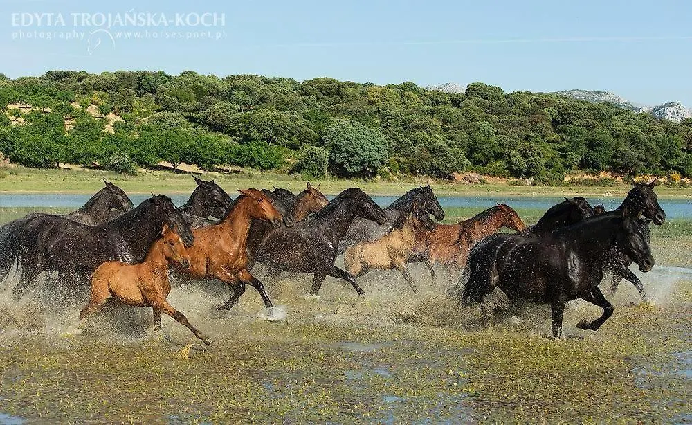 Casa De Campo, Antequera 0*,