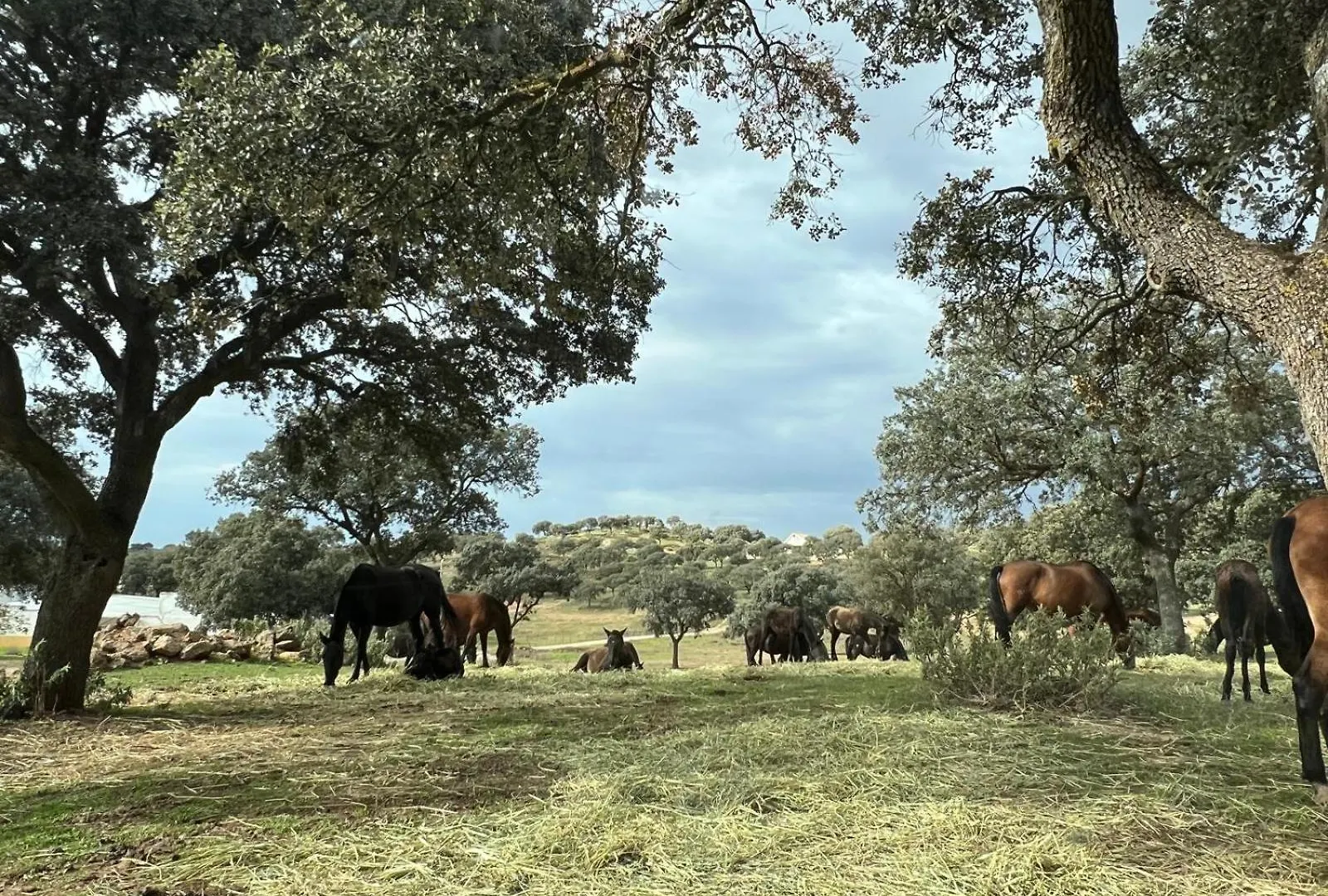 Casa De Campo, Antequera Spain