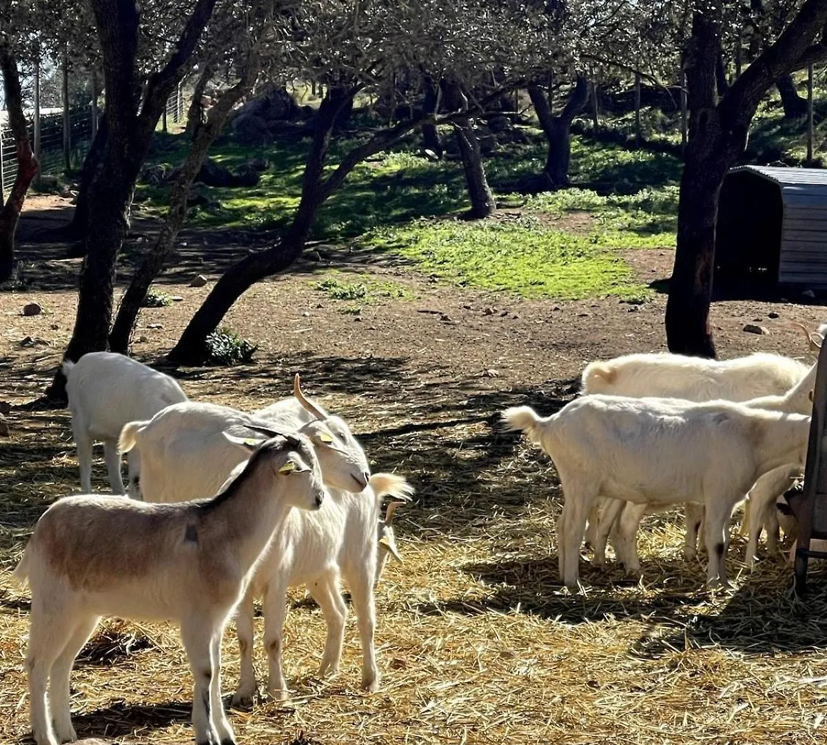 Casa De Campo, Antequera