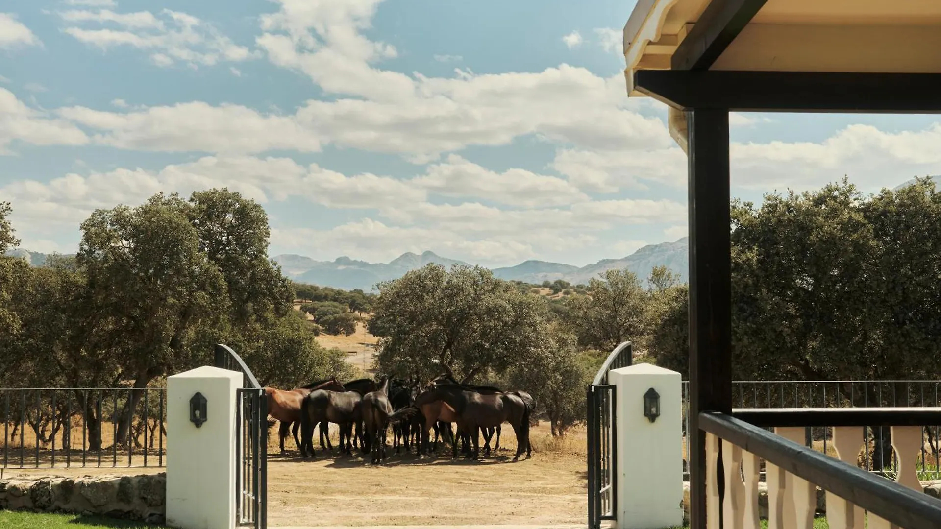 Casa De Campo, Antequera Holiday home
