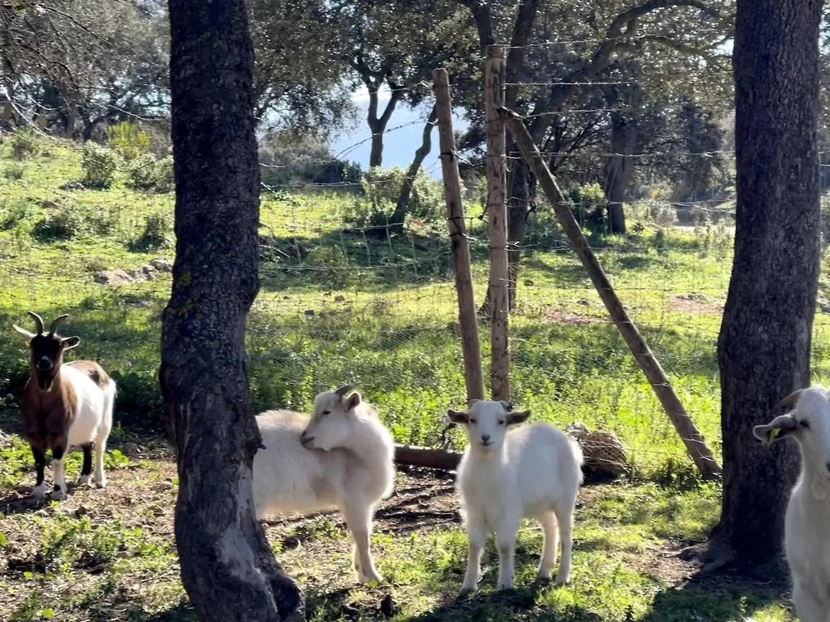 Casa De Campo, Antequera Holiday home